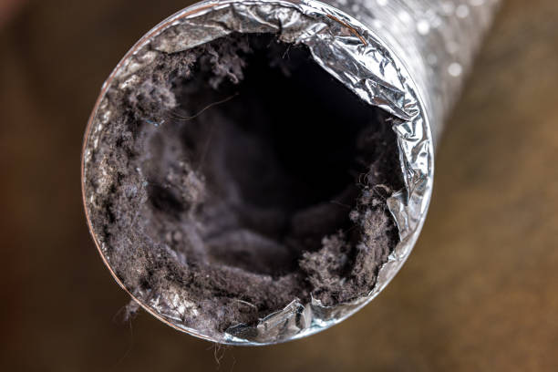 Best Local Air Duct Cleaning Services  in Fall City, WA
